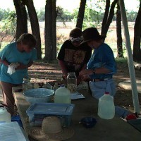 Field Tincturing 1