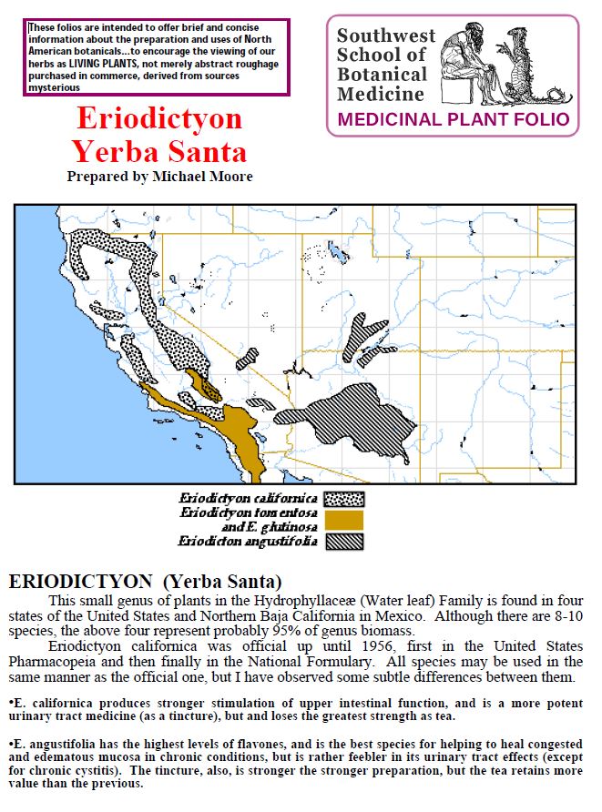 Eriodictyon Yerba Santa folio