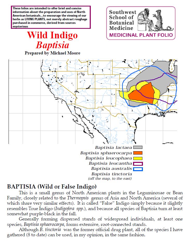 Wild Indigo Baptisia Folio
