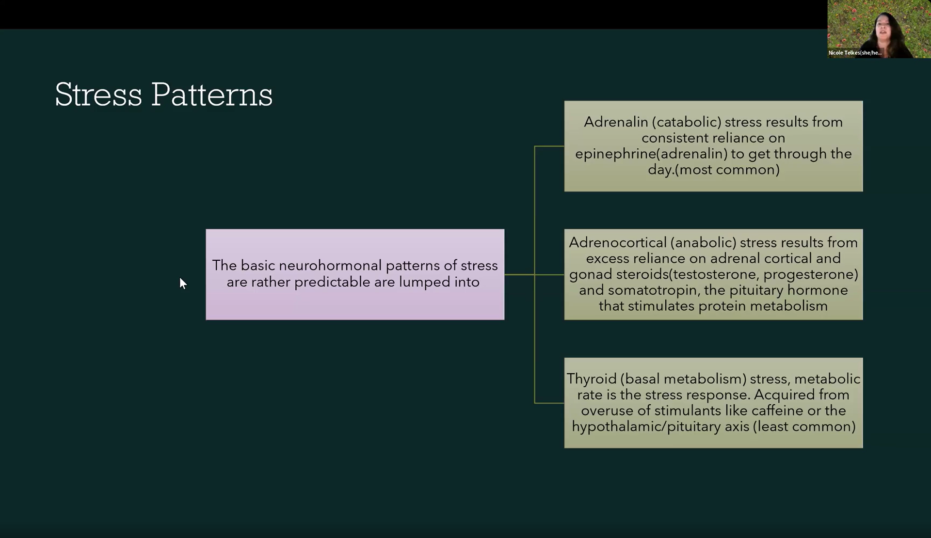 Excess & Deficiency in Herbal Formulation: A peek into Michael Moore’s Constitutional Physiology - Image 3